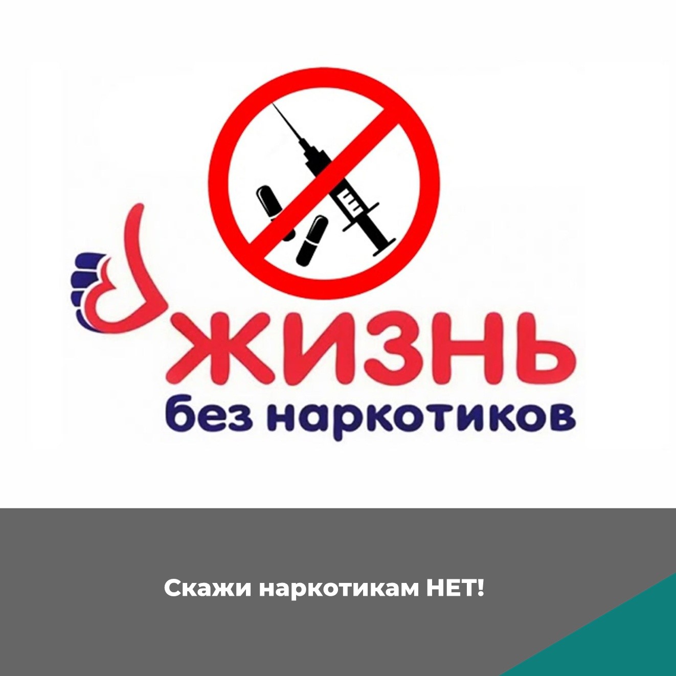 Антинаркотическая направленность, пропаганда здорового образа жизни