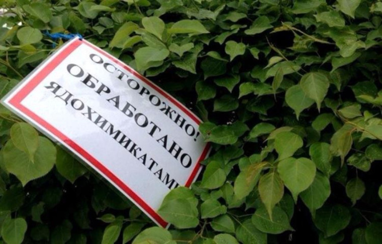 ИП Глава К(Ф)Х Митусов Н.В. сообщает о начале обработки полей агрохимикатами.. ИП Глава К(Ф)Х Митусов Н.В. сообщает о начале обработки полей агрохимикатами..